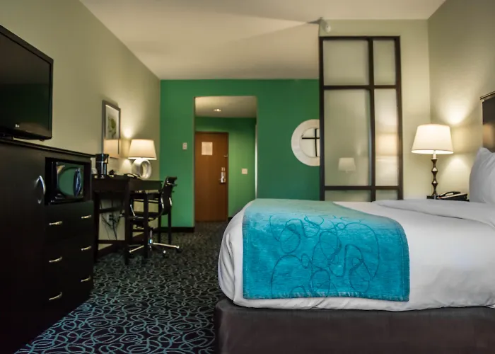 Hampton Inn By Hilton Tampa Fairgrounds Casino