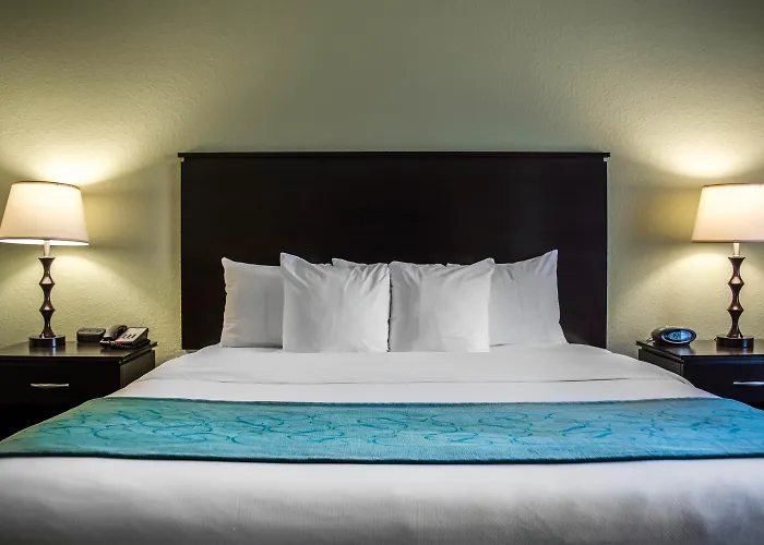 Hampton Inn By Hilton Tampa Fairgrounds Casino