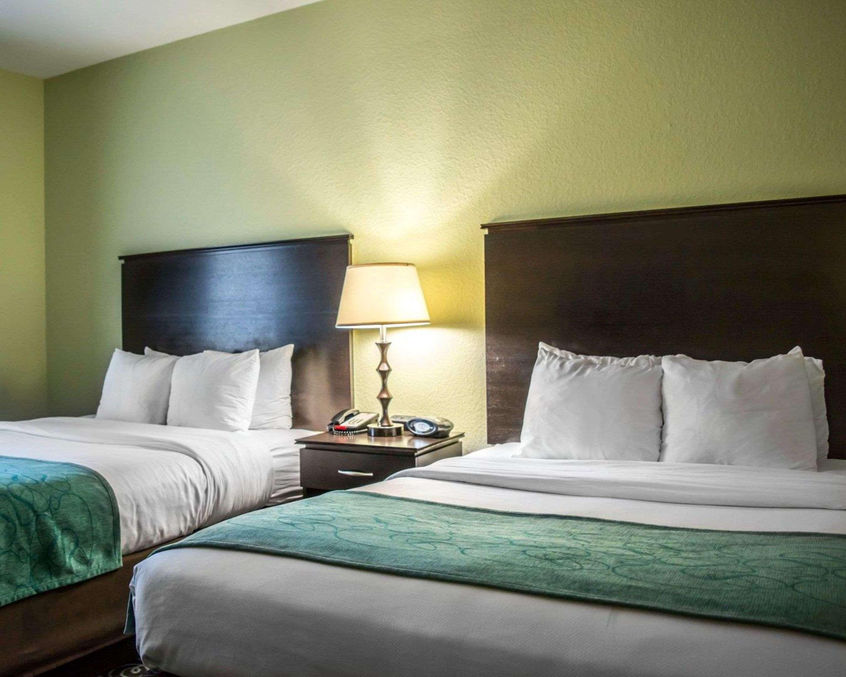 Hotel Hampton By Hilton Tampa Fairgrounds Casino Mango
